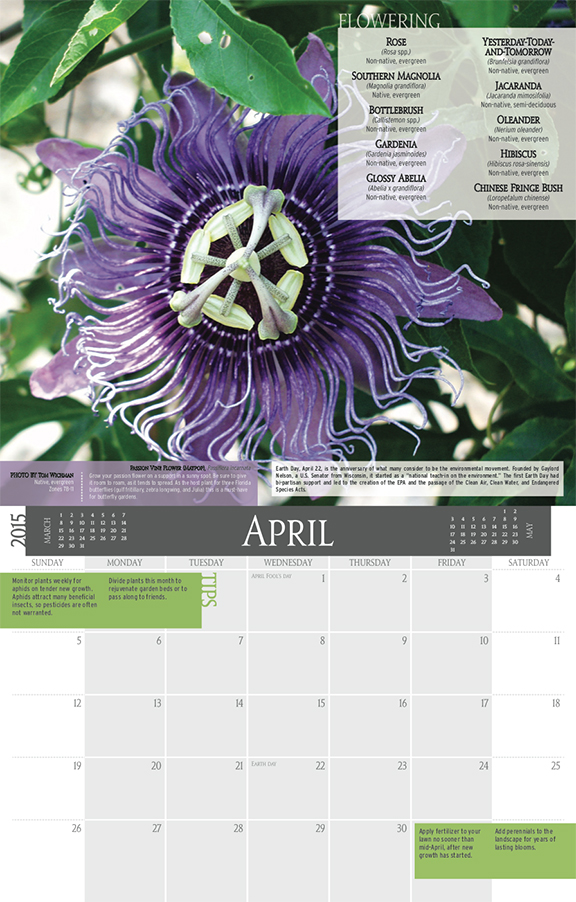 UF/IFAS Extension Master Gardener Calendar UF/IFAS Communications