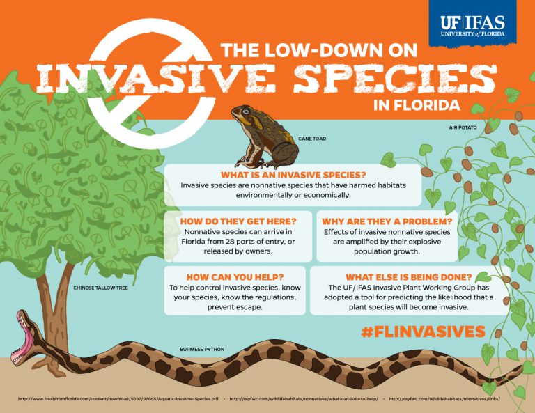 Invasive Species Awareness Visual Campaign UF/IFAS Communications