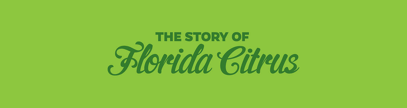 The Story Of Florida Citrus Infographic - Uf Ifas Communications