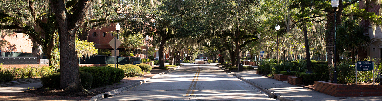 View down a tree-canopied street on the University of Florida Campus