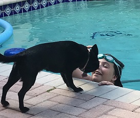 Dog watching Girl in pool