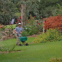 A man using a drop spreader to fertilize grass