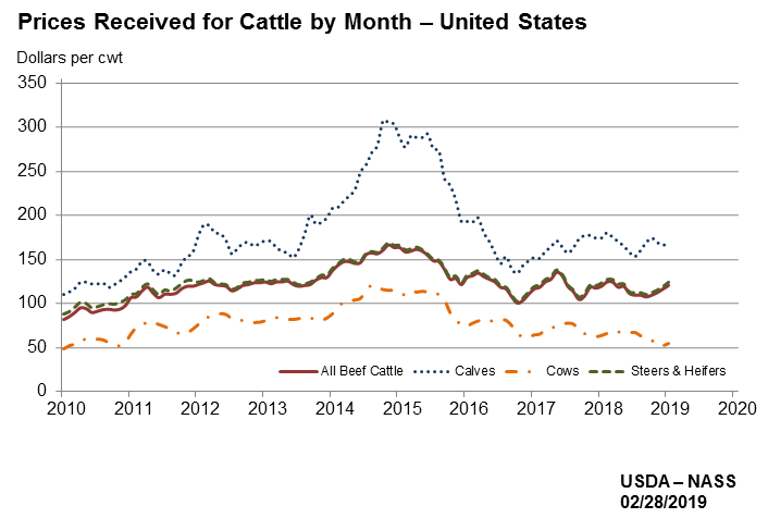 US Cattle Prices by Month 2010-2019