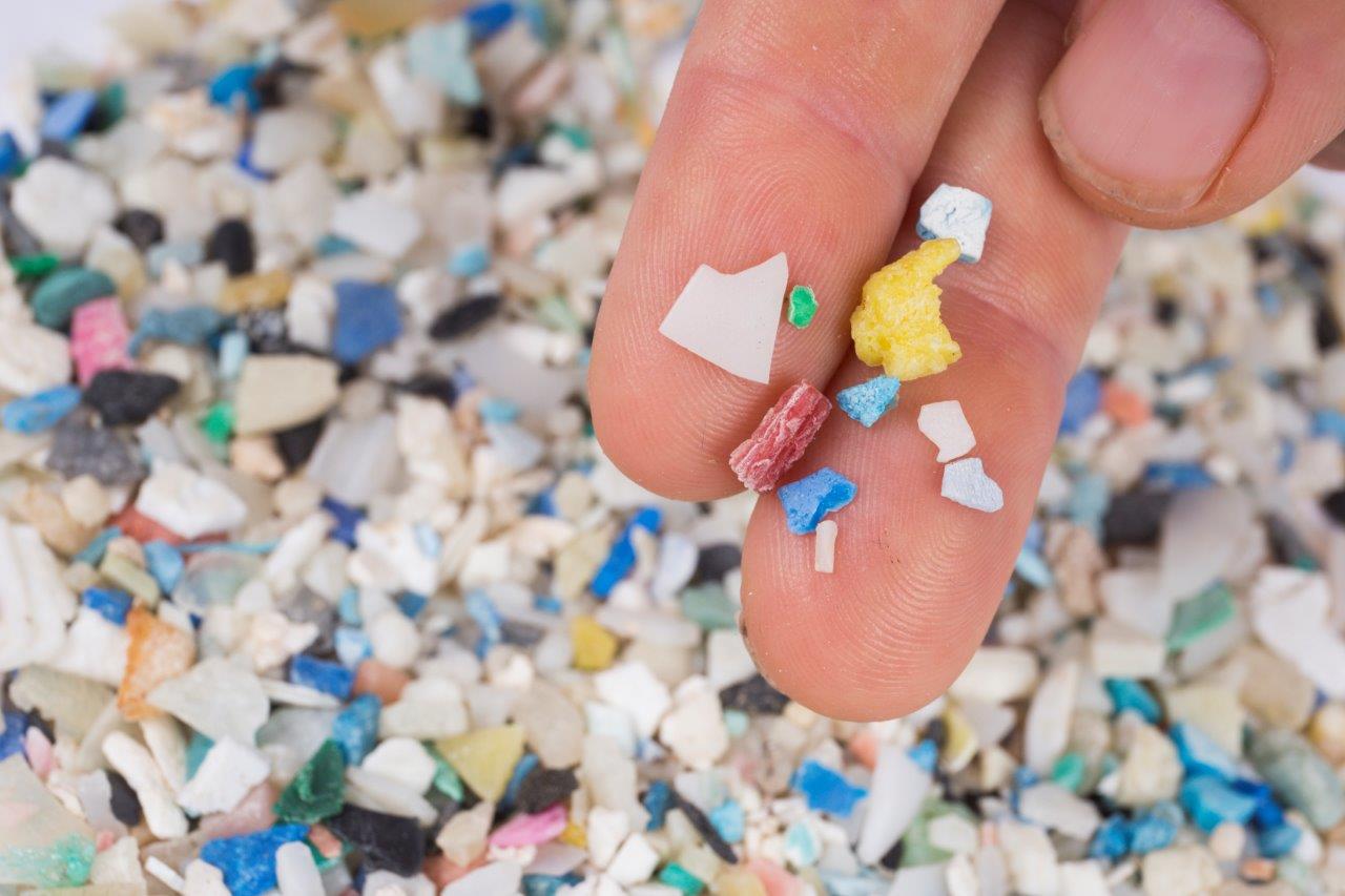 Microplastics range in size from microscopic fibers and beads to these larger fragments.