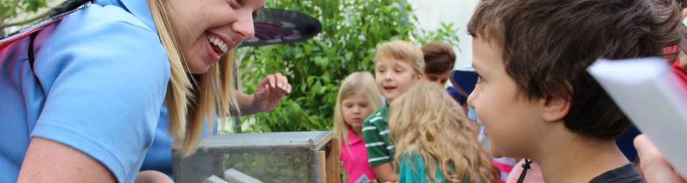 Children learn about bees and flowers at the Landscape and Garden Fair