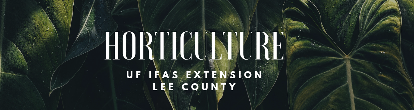 Horticulture | UF IFAS Lee County Extension