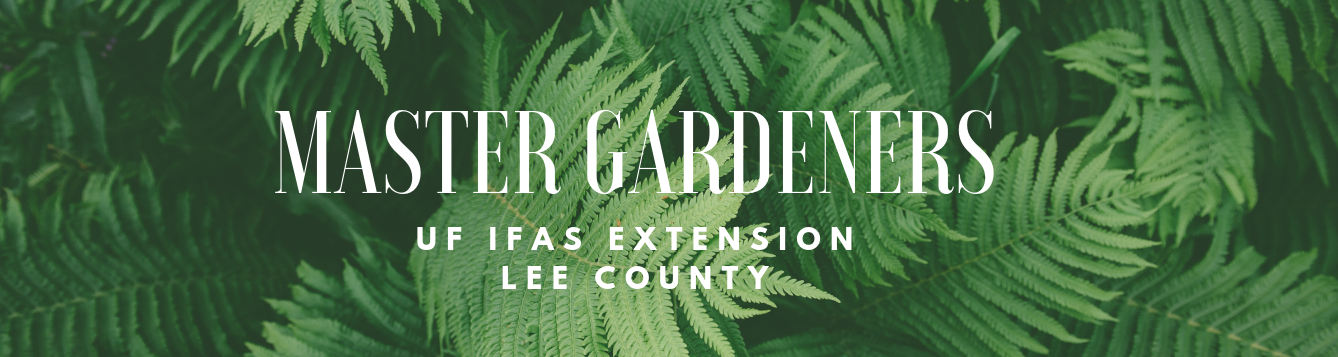 Master Gardener | UF IFAS Lee County Extension