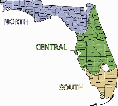 North Florida Gardening: January...... - FosterFollyNews.com