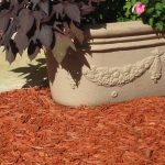 Cypress mulch may repel water over time.