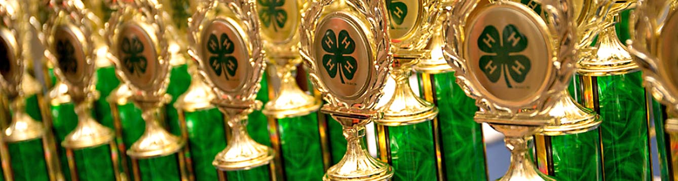 4-H County Events