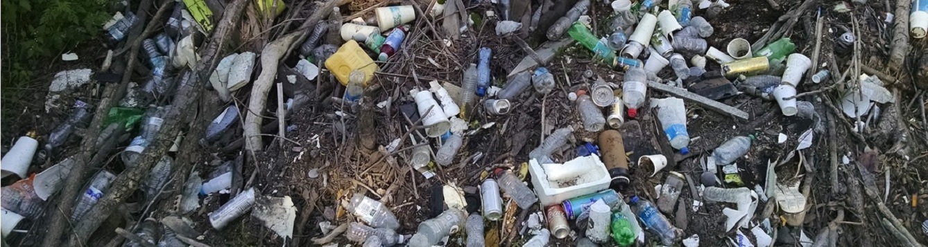 Plastic debris in the environment. Source: Zero Waste Gainesville