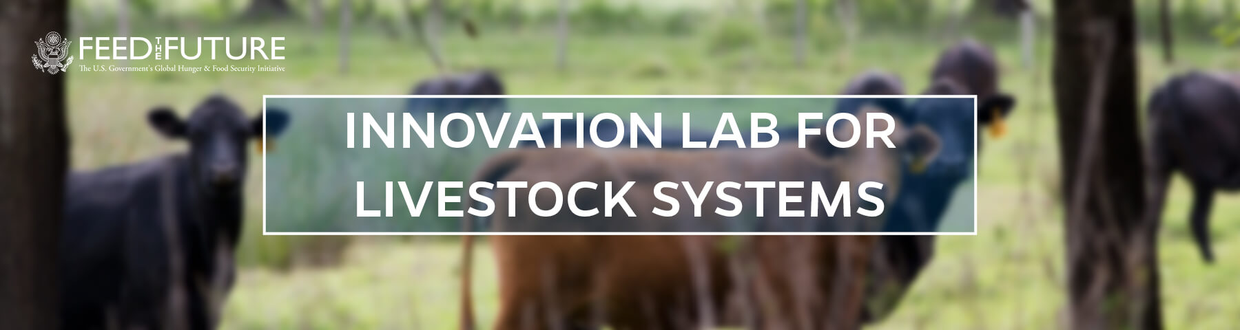Feed the Future Innovation Lab for Livestock Systems