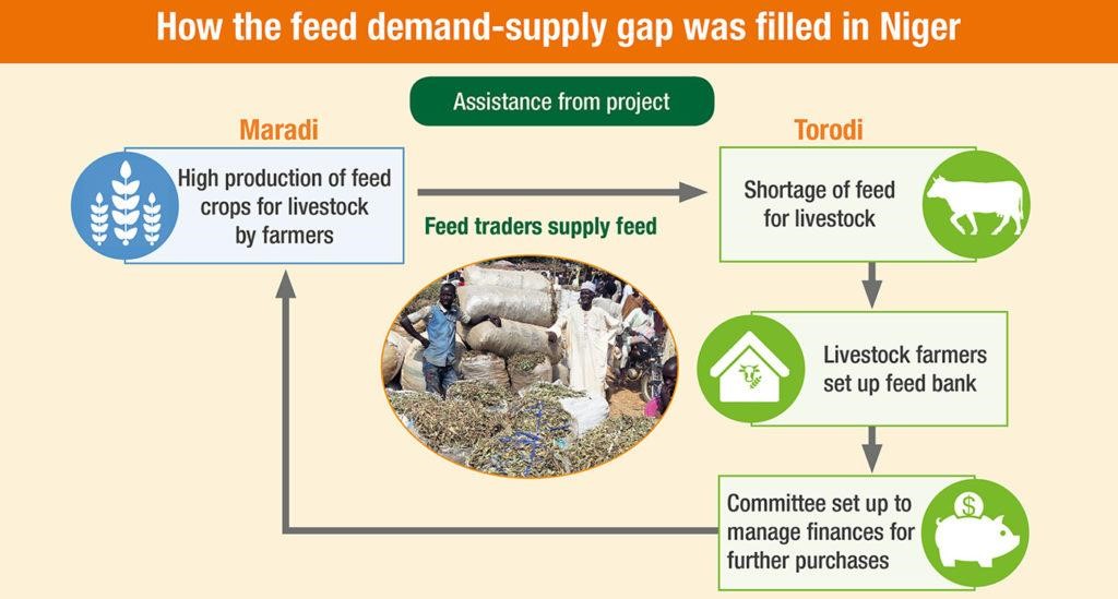 Applied business model for animal feed generates revenue and improves