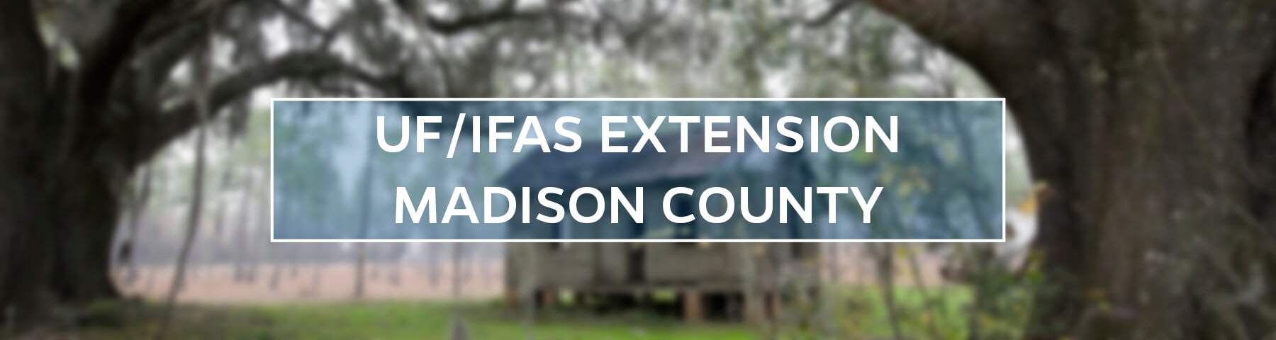 UF/IFAS Extension Madison County