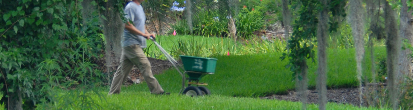 man fertilizing lawn