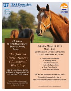 Florida Horse Owner's Workshop flyer