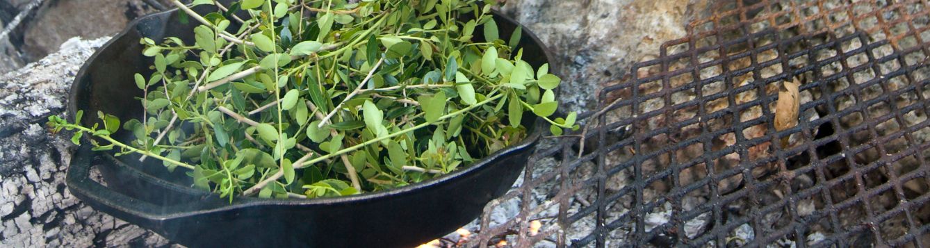 Roasting Yaupon Holly leaves for tea