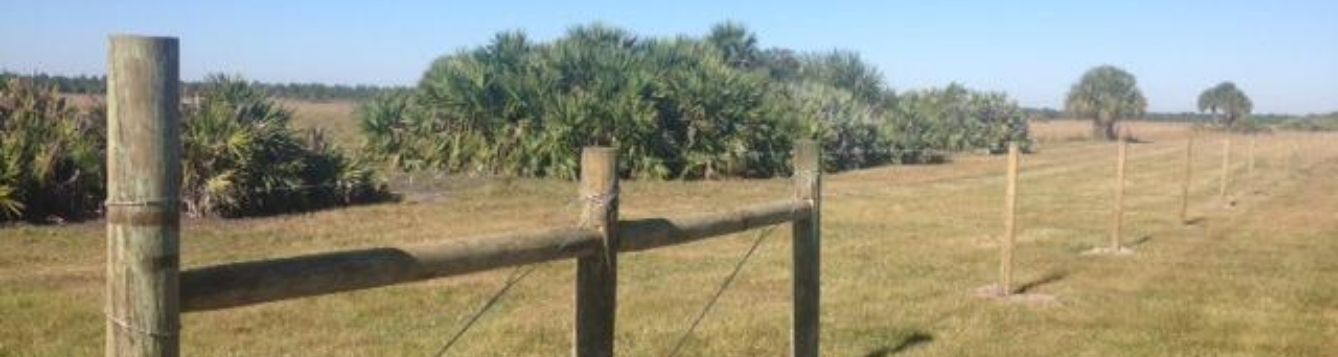 cross-fencing in a pasture