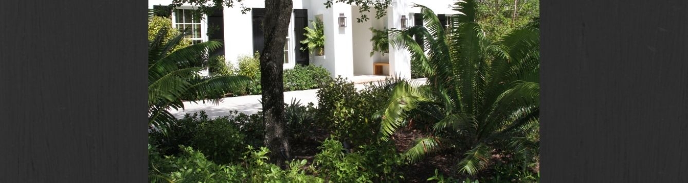 Florida-Friendly Landscape maintained by licensed landscape professionals. Pesticide and fertilizer applicators must be licensed.