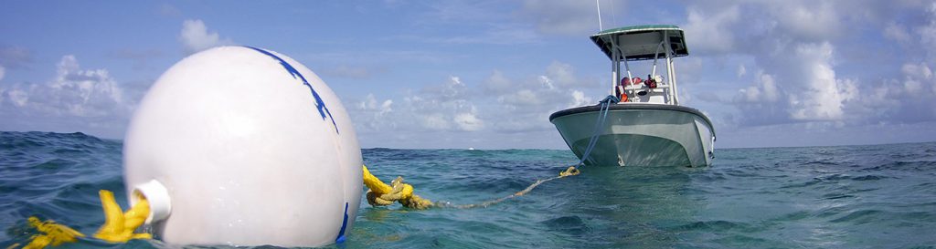 What Is A Mooring Buoy And Why Is It Your Friend Uf Ifas Extension