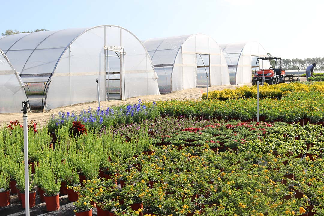 Industry Spotlight Brantley Nurseries UF/IFAS MidFlorida Research and Education Center