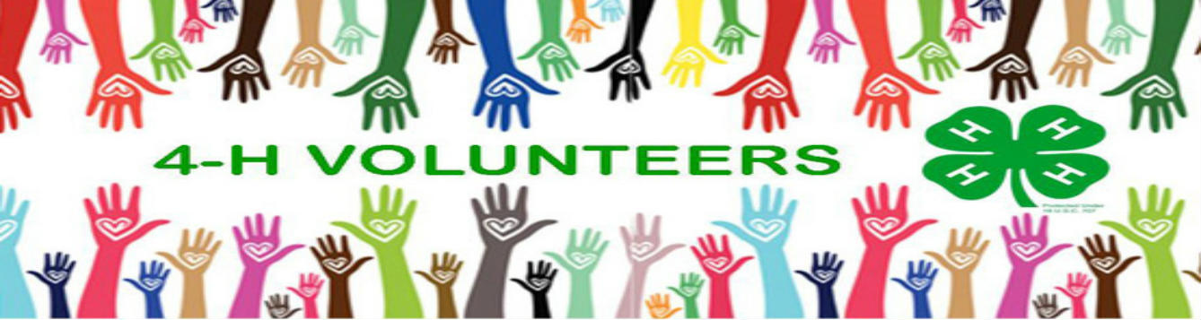 Volunteer-Hands Banner