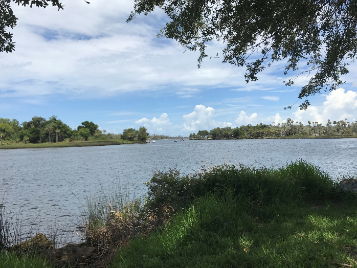 NCBS Intern Report Big Bend Seagrass and Water Quality Monitoring