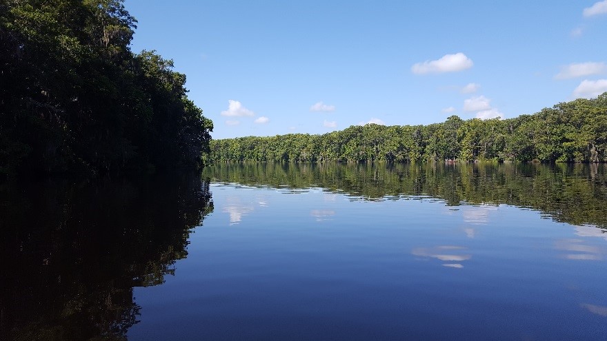 Photograph of the Suwannee River