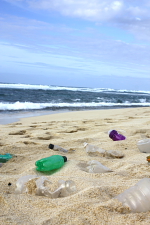 Plastic trash on the beach Photo credit: HydroFlask Flickr