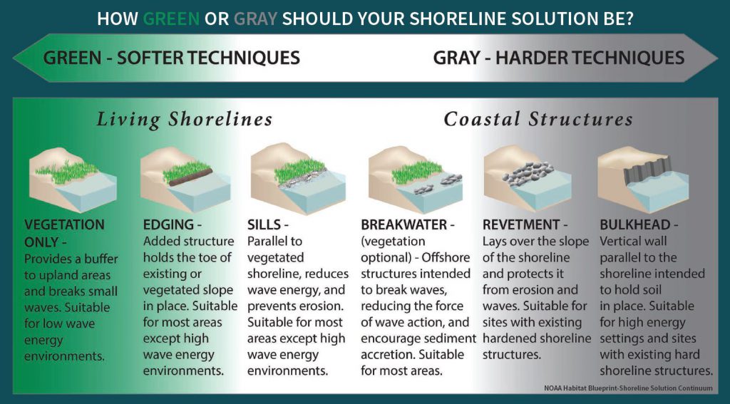 range of shoreline erosion control options from gray to green