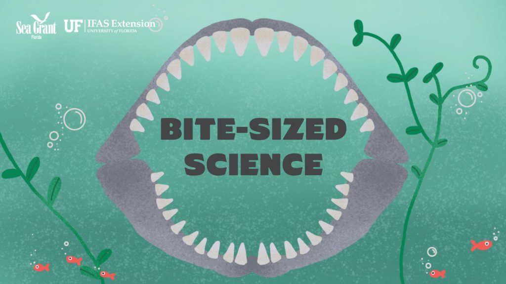bite sized science logo