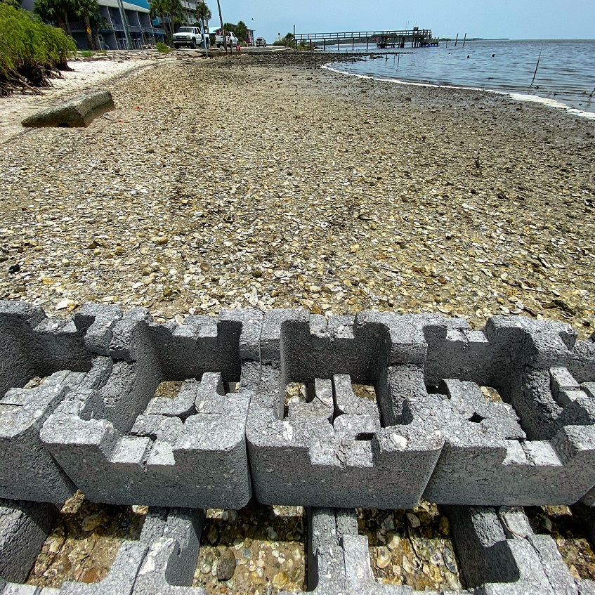 If you build it, oysters will come - UF/IFAS Nature Coast Biological