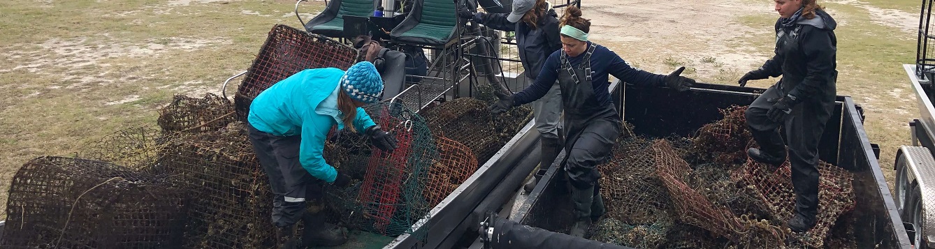 unloading crab traps from boat