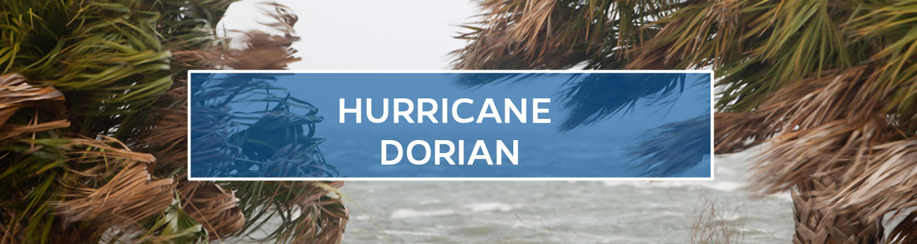 Hurricane Dorian Updates - Palm Trees In a Storm