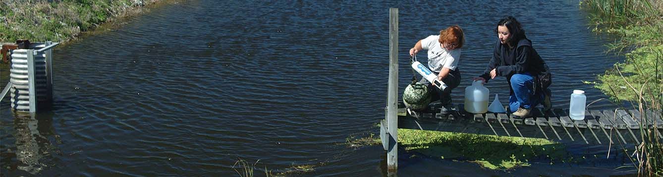 Newswise: There’s Plenty to See, Do, Learn at Everglades Research and Education Center: Nov. 7 Open House Joins Community with Faculty, Scientists and Research
