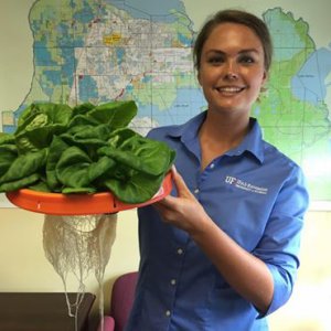 Extension agent poses with hydroponic lettuce and lid of bucket system