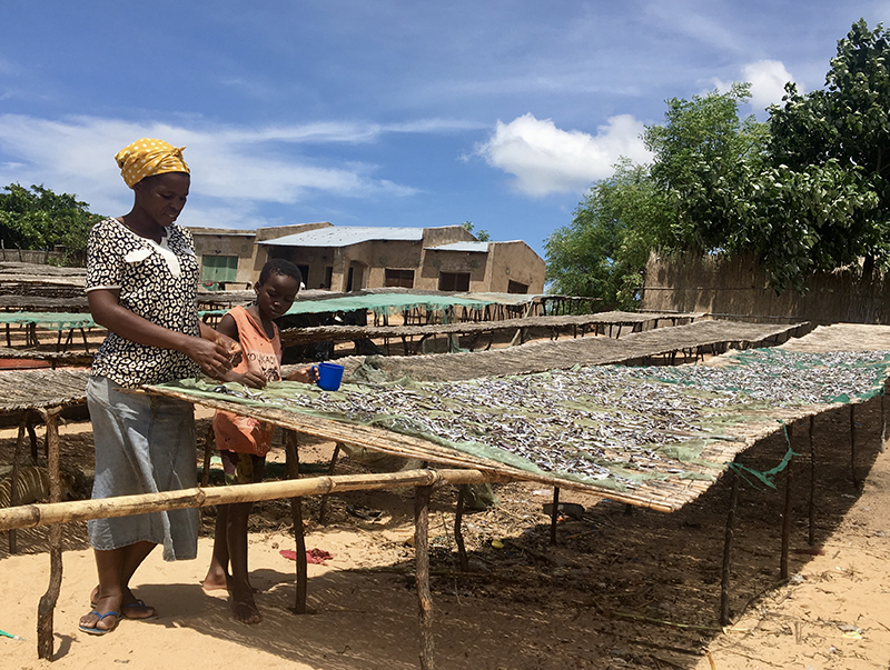 People drying fish in Malawi.