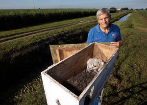image- Dr Raid - EREC plant pathologist - curator of barn owl nesting box project