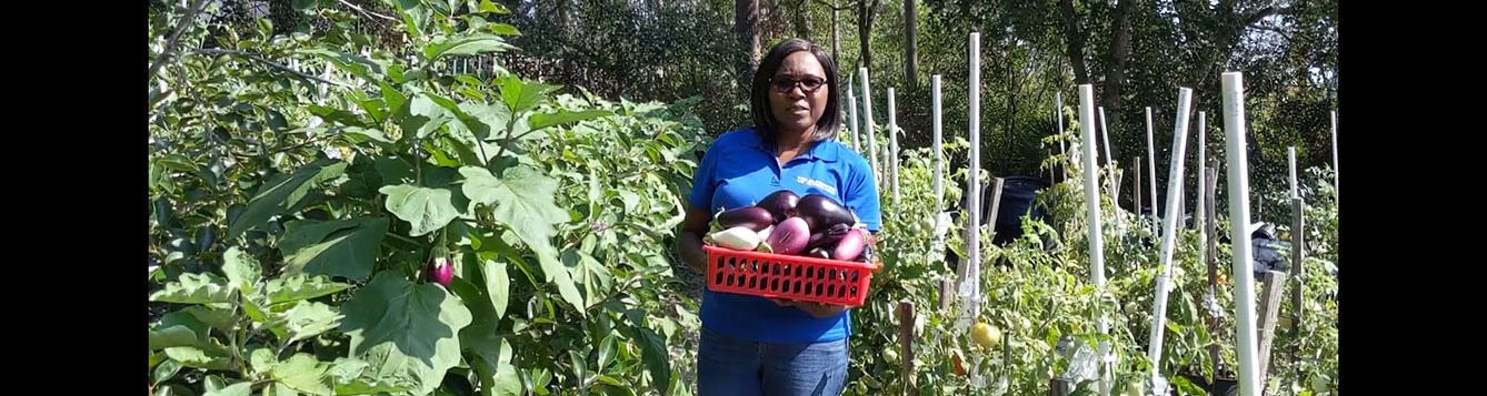Norma Samuel in a field holding eggplants