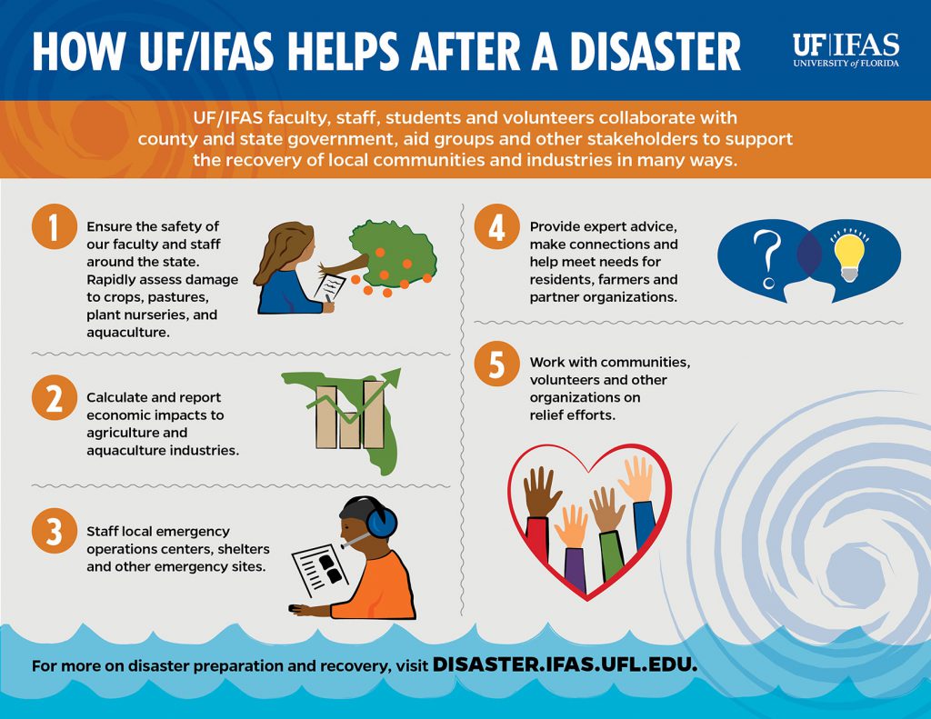 How UF/IFAS helps after a disaster infographic