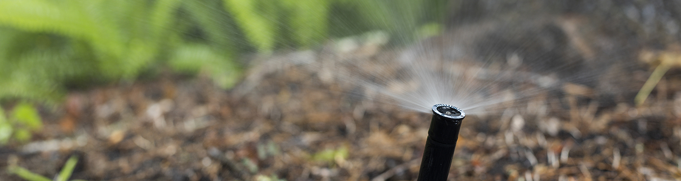 pop-up in-ground sprinkler head spraying mulch