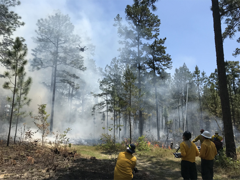 Scientists sample smoke using a drone during a prescribed fire in Florida.