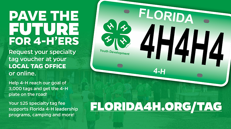 support-florida-youth-pre-order-your-4-h-license-plate-online-news