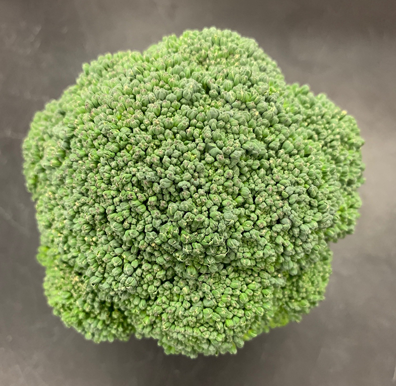 Green broccoli. Photo by Tie Liu.