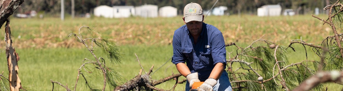 Uf Ifas Facilities Rebuild From Hurricane Idalia With Help From