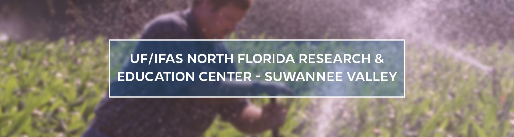 UF/IFAS North Florida Research and Education Center - Suwannee Valley