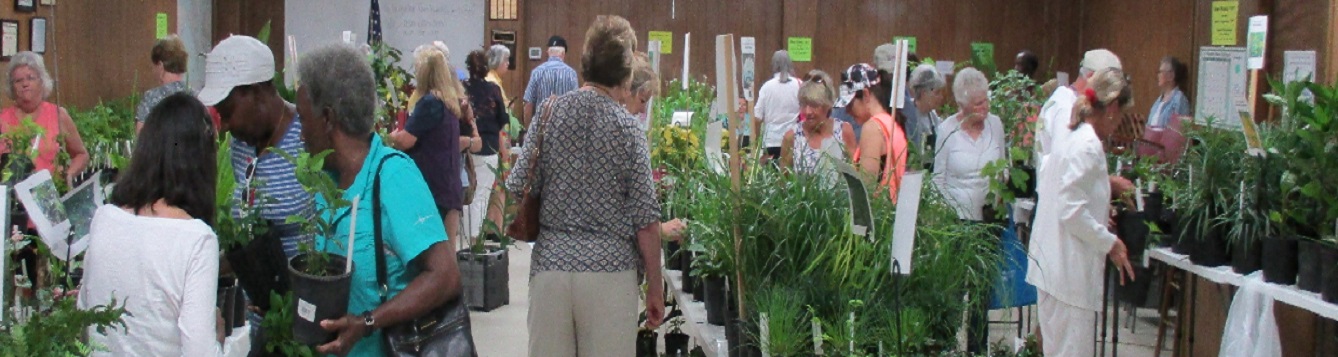 People shopping at indoor Master Gardener Volunteer plant sale