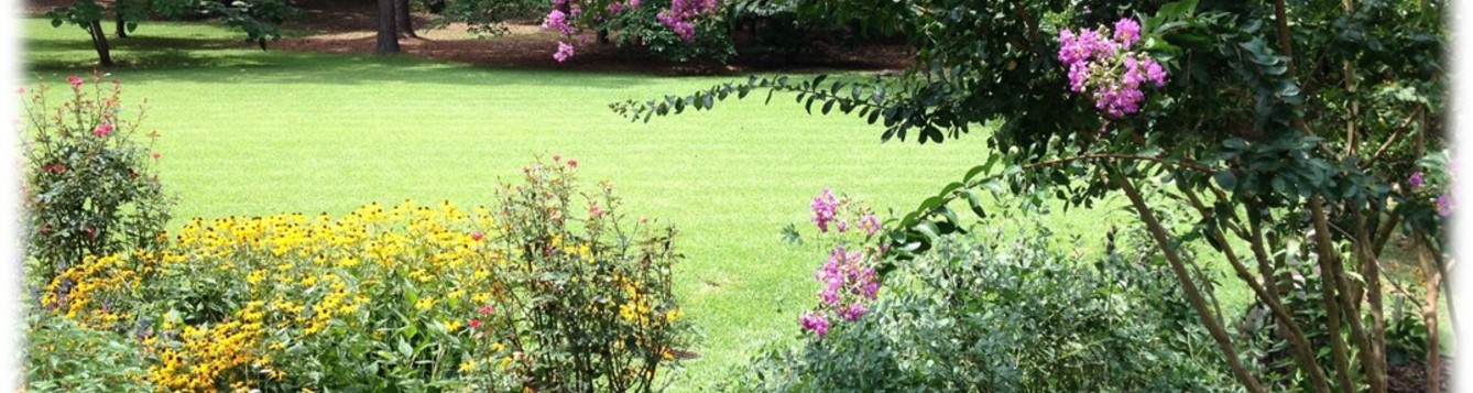 Foreground flowering plants in landscape bed with green lawn in background