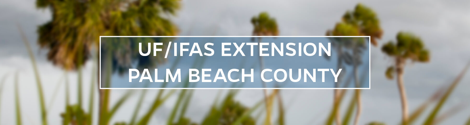 UF/IFAS Extension Palm Beach County