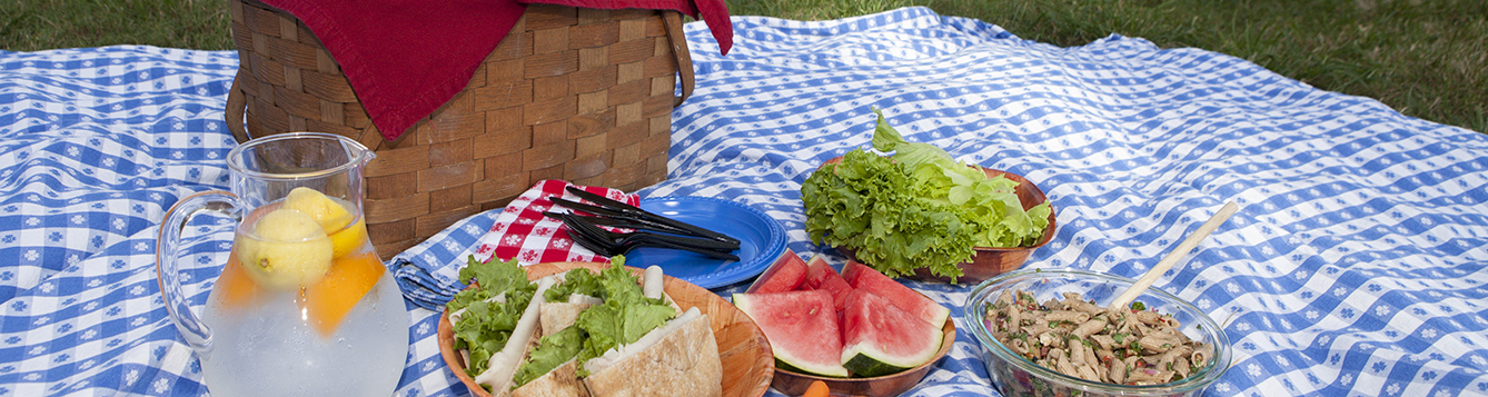 Lunch, carrots, watermelon, and salad sit on a table cloth with a picnic basket.